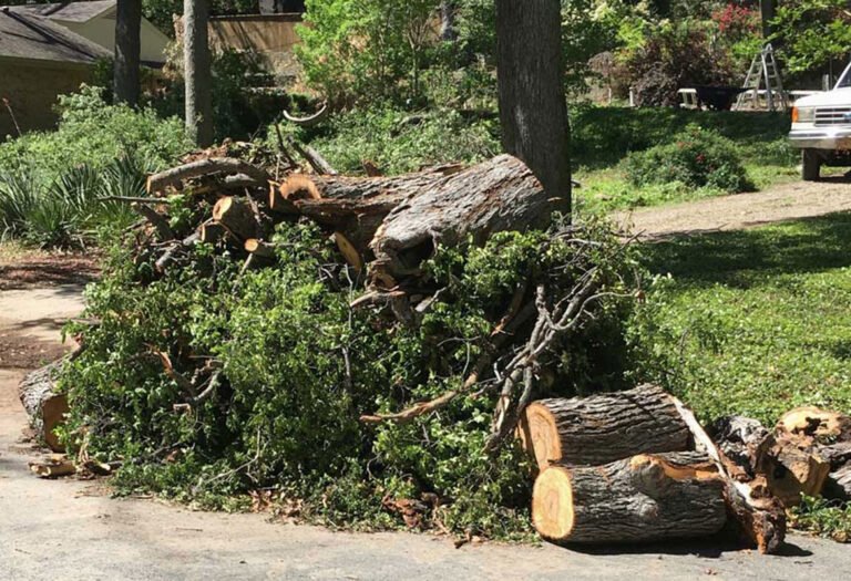 Yard Debris Removal Company
