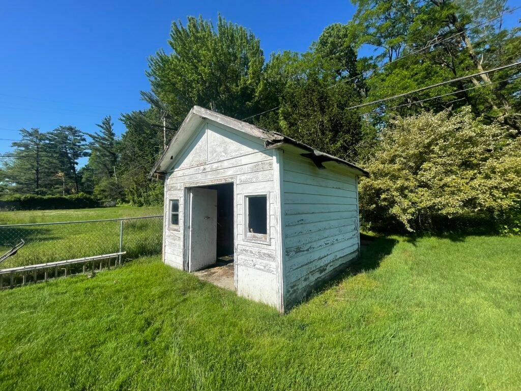 Shed Removal