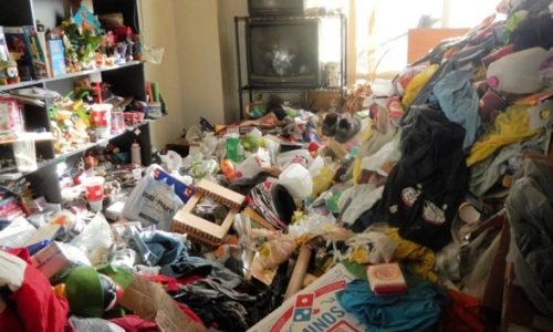 Hoarder Clean Up
